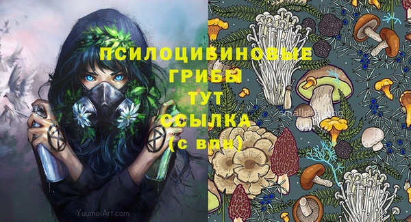 прущая мука Покров