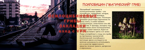 ALPHA PVP Всеволожск