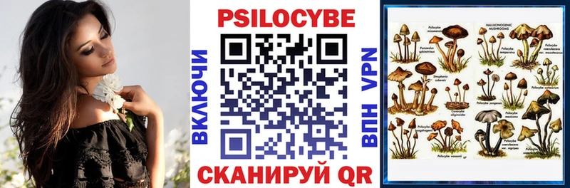 OMG как войти Звенигород Галлюциногенные грибы прущие грибы