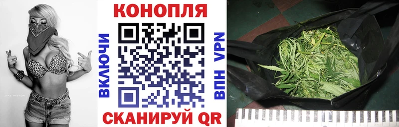 как найти наркотики  hydra онион  Бошки марихуана индика  Звенигород 